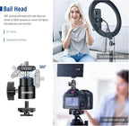 NEEWER Camera Desk Mount with C Clamp, 2 Pack 13.8"-23.6" Adjustable Desktop Light Stands with 1/4" Ball Heads Cold Shoe Adapters Long Handles for Webcam DSLR Camera Monitor Ring Light, Max Load 5kg