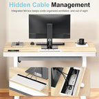 ERGO COLLECT Electric Standing Desk 48 Inch - One-Piece Desktop with Drawer, Cable Management, Wireless Charging & USB Port, Quiet Motor - for Home Office, Light Wood