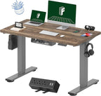 FLEXISPOT EN2 Whole-Piece Standing Desk with Clamp Power Strip, 48 x 24 Electric Stand Up Height Adjustable Desk with Cable Management (Gray Frame + 48" Black Walnut Desktop, 2 Packages)