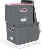 2 Pack File Storage Organizer, Filing Box, Portable File Box with Lid, Fit for Letter/Legal File Folder Storage, Document Organizer, Dark-gray