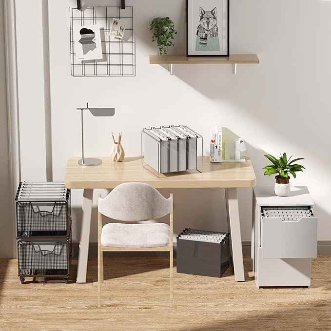 Nordun Extra Capacity Plastic Hanging File Folder Letter Size,12 Pack Reinforced Hang Folders with Heavy Duty 2 Inch Expansion,Durable Hanging Organizer Designed for Bulky Files(Grey)
