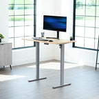 VIVO Electric 48 x 30 in Standing Desk, Memory Height Adjustment, 1B Series, Holds 220 lbs, One-Piece Light Wood Top, Gray Frame, DESK-KIT-1G5C