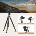 Cayer CH35 Travel Camera Tripod with Ball Head, Compact Carbon Fiber Tripod, 53.6" Compact Camera Stand，Max Load 17.6lbs for Mirrorless Cameras Video Camcorder Mobile Phone Webcam