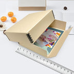 Lineco Museum Archival Storage Box, 8.75x10.75x3 in. Drop Front Design. Acid-Free with Metal Edge. Organize Photos, Pictures, Prints, Documents, Crafts, DIY. Tan, 2 Pack