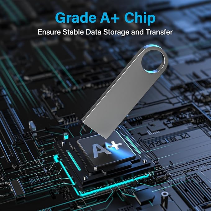 ABLAZE 2GB Flash Drive 10 Pack, Metal USB 2.0 Thumb Drives with Keychains USB Sticks Pendrives (Sliver)