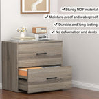 FATIGOS 2 Drawer File Cabinet, Wood Lateral File Cabinet, Wide Filing Cabinets for Home Office, Farmhouse File Cabinet Printer Stand for Hanging Files/Letters, Gray