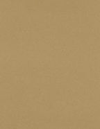 LUXPaper 8.5" x 11" Paper | Letter Size | Grocery Bag Brown | 70lb. Text | 50 Qty