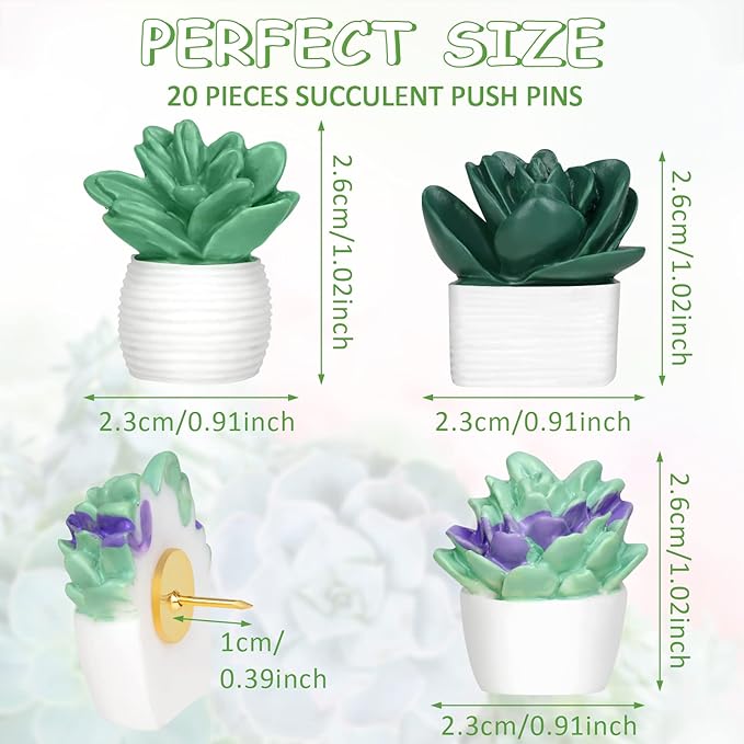 20 Pieces Cute Succulent Plants Decorative Push Pins Colorful Floret Thumbtacks for Photo Wall, Feature Wall, Whiteboard, Cork Board, Map, Bulletin Board, Office or Home (Three Assorted Styles)