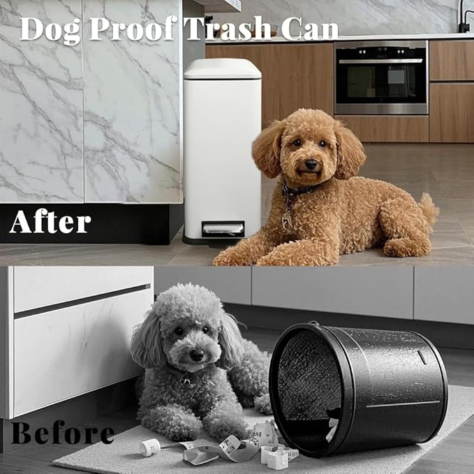 8 Gallon Slim Trash Can with Soft Close Lid, Stainless Steel Trash Can with Removal Inner Bucket, Hand -Free Trash Bin for Kitchen, Office, Laundry, Bathroom, 30 Liter Capacity, White