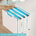 Nordun Plastic Hanging File Folder Extra Capacity,12 Pack Reinforced Hang Folders with Heavy Duty 2 Inch Expansion,Filing Cabinet Folders Letter Size,Hanging Organizer Designed for Bulky Files(Blue)