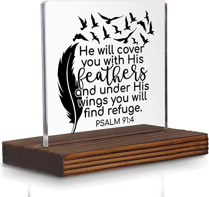 Christian Bible Verse Desk Sign, Psalm 91:4 Feather Wings Inspirational Scripture Gift for Women Men, Spiritual Office Desk Plaque for Birthday, Baptism, Retirement, Christmas PA129