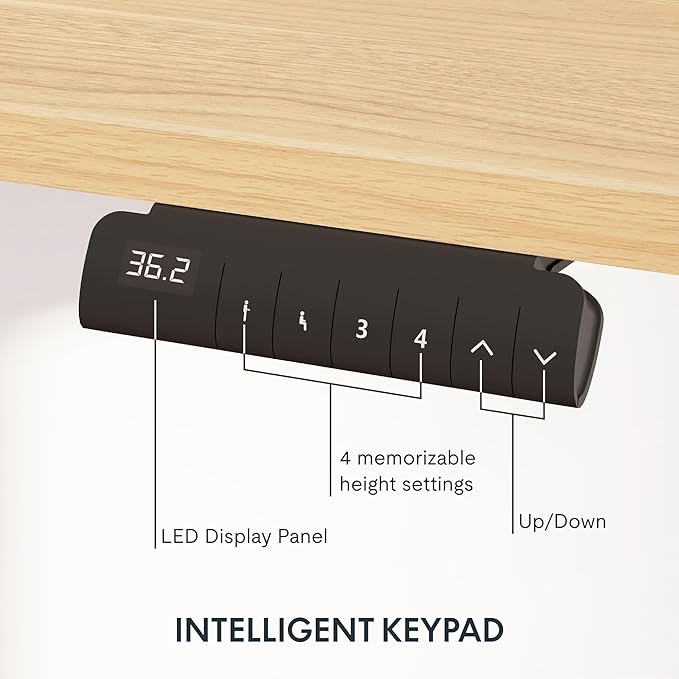 FLEXISPOT E6 3-Stage Dual Motor Electric Standing Desk 48 x 24 Sit Stand Up Desk, Holds 220 lbs, Adjustable Height w/Memory Presets, One-Piece Maple Desktop & Black Frame, Ships in 2 Boxes