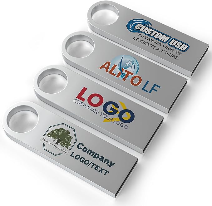 ABLAZE Custom Flash Drive 16GB 10 Pack, Personalized USB with Your Logo Metal Thumb Drives USB 2.0 Memory Stick Pendrive (Sliver)