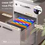 ThinkTex Plastic Expanding Hanging File Folders,12 Accordion Pockets,Large Capacity for Letter Size, Organizer for Filing Cabinet,Ideal for Tax,Contracts,Invoices,for Office,School-black-2set