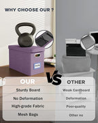 Oterri File Organizer With Lid, Hanging Filing Box With Mesh Pocket, Document Organizer for Letter Files, Portable Storage for Office & Home (2 PCS, Taro Purple)