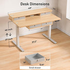 ExaDesk 48 * 30 Inches Electric Standing Widened Desk Adjustable Height with 4 Drawers, Double Storage Shelves, Home Office Workstation Sit Stand up Desk (Nature)