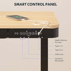 FLEXISPOT Comhar Electric Standing Desk with Drawer Desktop & Adjustable Frame w/USB Charge Ports (Bamboo-Look Laminate/Black, Wood)