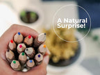 Assorted-Stick Twig Colored Outdoor Wooden Pencils Tree Child Camping Decorative Color