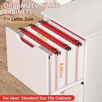 Nordun Plastic Hanging File Folder Extra Capacity,12 Pack Reinforced Hang Folders with Heavy Duty 2 Inch Expansion,Filing Cabinet Folders Letter Size,Hanging Organizer Designed for Bulky Files(Red)