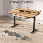 Kingant 55 x 30 Inch Electric Standing Desk with 4 Drawers, Adjustable Height Computer Desk for Home Office, Large Workstation Sit Stand Up Desk with Built-in USB A/C Ports, Light Rustic Brown