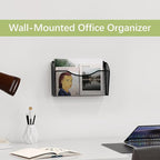 EasyPAG Single Pocket Wall File Organizer, Mesh Hanging File Folder Organizer for Letter/A4 Size Folders Wall Mounted Vertical Mail Holder for Paperwork, Office, Home, School, Black