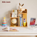 Aibiju Short Bookshelf Small Desk Organizer, Cactus Bookshelf Unique Bookcase, Book Display Shelf Small Plant Stand for Tabletop, Natural Wood Color YD-DSR002N