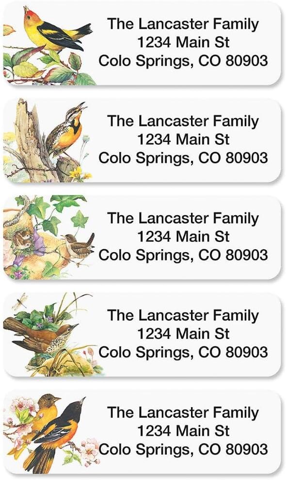 Meadow Birds Rolled Personalized Return Address Mailing Labels with Dispenser, Set of 500, 5 Designs, Small ¾ x 2½ Inch Size, Custom Self-Adhesive Sticker Roll, by Colorful Images