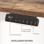 FLEXISPOT E6 3-Stage Dual Motor Electric Standing Desk 55 x 28 Sit Stand Up Desk, Holds 220 lbs, Adjustable Height w/Memory Presets, One-Piece Special Walnut Desktop & White Frame, Ships in 2 Boxes