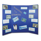 Flipside Products 36” x 48” Project Boards for Presentations, Science Fair, School Projects, Event Displays and Trifold Picture Board, Proudly Made in USA – Assorted Colors - 24 Pack