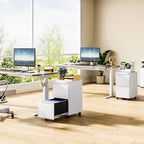 MIIIKO 2 Drawer File Cabinet on Wheels, Home Office Mobile File Drawers Under Desk, Filing Cabinets with Drawers for Legal/Letter/A4 File Folders(White),Un-Assembled