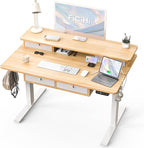 FiCiHi Adjustable Height Standing Desk with 4 Drawers,48 x 30 inches Electric Sit Stand Home Office Desk with Two Tiers, 3 Memory Presets, Monitor Stand Riser, USB A/C Charging Port
