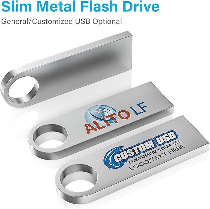 ABLAZE 2GB Flash Drive 20 Pack, Metal USB 2.0 Thumb Drives with Keychains USB Sticks Pendrives (Sliver)
