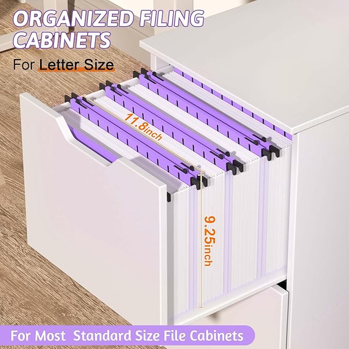 Nordun Extra Capacity Plastic Hanging File Folder Letter Size,12 Pack Reinforced Hang Folders with Heavy Duty 2 Inch Expansion,Durable Hanging Organizer Designed for Bulky Files, Medical Charts