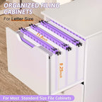 Nordun Extra Capacity Plastic Hanging File Folder Letter Size,12 Pack Reinforced Hang Folders with Heavy Duty 2 Inch Expansion,Durable Hanging Organizer Designed for Bulky Files, Medical Charts