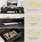 Agilestic 63 x 24 Inches Electric Standing Desk with 2 Storage Drawers, Stand Up Desk Adjustable Height, Sit and Stand Computer Table with Splice Board, Black