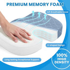 TushGuard Office/Car Seat Cushion, Non-Slip Sciatica & Back Coccyx Tailbone Pain Relief Chair Pad, Memory Foam Butt Pillow for Computer Desk, Wheelchair, Driving (Light Blue)