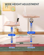 FLEXISPOT EN1 One-Piece Standing Desk, 48"x24" Seamless Desktop Electric Height Adjustable Desk for Home Office, Multi-Monitor Setups & Easy Assembly, Pink
