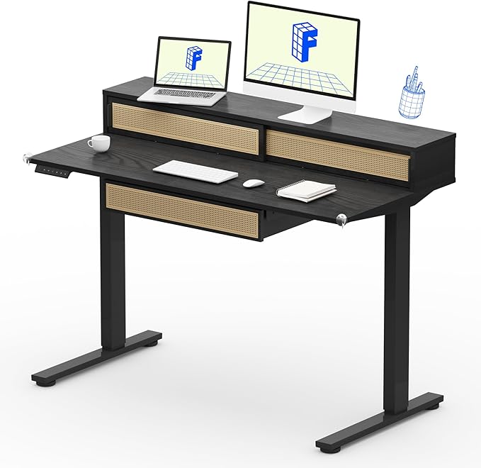 FLEXISPOT Q4 One-Piece Standing Desk with Rattan Drawers, 48 x 24 Inch Adjustable Height, Electric Stand Up Table with Monitor Shelf, Home Office Ergonomic Computer Desk with Memory Presets, Black