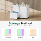 Greenvelly 2 Drawer Mobile File Cabinet with Lock, Metal Filing Cabinet on Wheels, Under Desk File Cabinet for Home Office Organizer Letter/Legal/A4 File (Assembly Required, White)