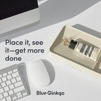 BLUE GINKGO Desk Tray – Korean-Made Organizer for Notes, Pens, Pencils, and Accessories (Double-sided, Green)