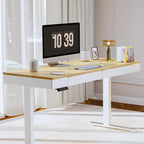 FLEXISPOT Q5 Standing Desk with Drawer, 55 x 24 Inch Whole Piece Electric Adjustable Height Stand Up Computer Workstation for Home, Office, Maple