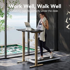 HUANUO 32" Small Electric Standing Desk Adjustable Height, 4 Memory Height Settings, Sit Stand Up Desk for Home Office & Computer Workstation, Black and Gold Frame