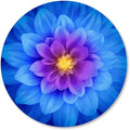 IMAYONDIA Mouse Pad, Blue Watercolor Lotus Flower Round Mouse Pad, Non-Slip Rubber Base Mousepad for Laptop Computer, Personalized Small Mousepad with Designs for Women, 7.9 x 7.9 Inch