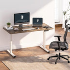 FLEXISPOT E6 3-Stage Dual Motor Electric Standing Desk 48 x 30 Sit Stand Up Desk, Holds 220 lbs, Adjustable Height w/Memory Presets, One-Piece Special Walnut Desktop & White Frame, Ships in 2 Boxes