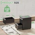 LONGLINK 2 Drawer Mobile File Cabinet with Lock,Under Desk Metal Filing Cabinets with Wheels for Home Office Organizer Letters/Legal/A4(Easy Assemble-Black)