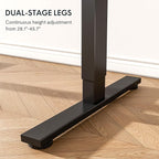 FLEXISPOT EN1 One-Piece Standing Desk with 1-Inch Thick Seamless Desktop, 48"x24" Electric Height Adjustable Desk for Home Office, Multi-Monitor Setups & Easy Assembly, Black