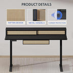 FLEXISPOT Q4 One-Piece Standing Desk with Rattan Drawers, 48 x 24 Inch Adjustable Height, Electric Stand Up Table with Monitor Shelf, Home Office Ergonomic Computer Desk with Memory Presets, Black