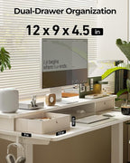 FEZIBO 48 x 24 Inch Height Adjustable Electric Standing Desk with Double Drawer, Stand up Home Office Computer Desk with 4 Height-Adjustable Feets & 2 Hooks, White