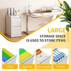 Reegangfa 2 Drawer File Cabinet with Lock, Metal Vertical Filing Cabinet, Lockable Heavy Duty Steel Small File Cabinets for Home Office, for A4 Legal/Letter Size Storage, White, Assembly Required