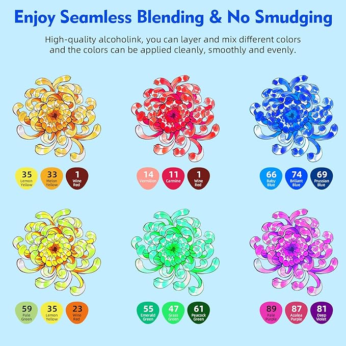 HOMSAILMO 80 color liquor base mark, double pointed (chisel and fine) permanent painting mark, suitable for adult coloring books, sketches, illustrations, with transparent box